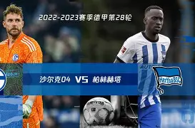 C7娱乐-柏林赫塔连胜收官，德甲新生力量崛起的简单介绍